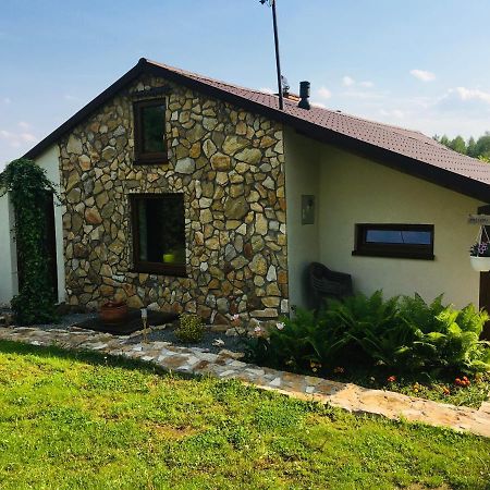 Czytelnia W Sadzie Villa Krzykawka Kültér fotó